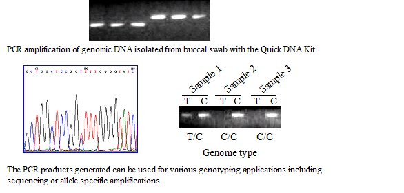 q_dna_result